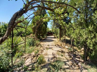 1200 متر باغ ویلای زیبا در شهریار