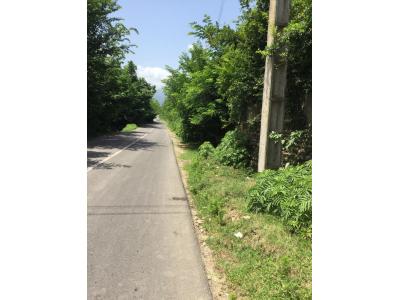 فروش 1280 متر زمین در قلعه رودخان فومن ( 3 ساعت فاصله تا تهران ) با ویو عالی رو به جنگل