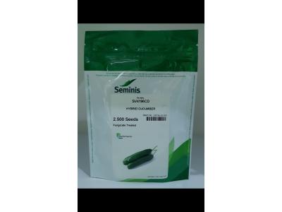 فروش بذر خیار ۴۱۹۶