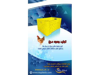 سبد مخصوص حمل نشاء(ری پلاستیک)