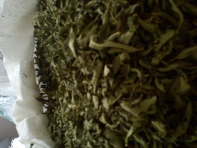 تولید و فروش به لیمو 