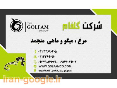 تامین مواد غذایی پروتوئینی (‌مرغ ، گوشت ، ماهی ،‌میگو ) در هر تناژ‌درشرکت گلفام کالای آریان