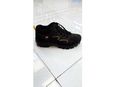 تولید و پخش کفش اسپرت ورزشی مردانه و زنانه ارشیا 