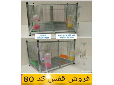 حیوانات خانگی-فروش قفس و تجهیزات