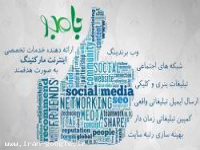 تبلیغات در شبکه های اجتماعی-بامبو - افزایش رنک و رتبه وبسایت