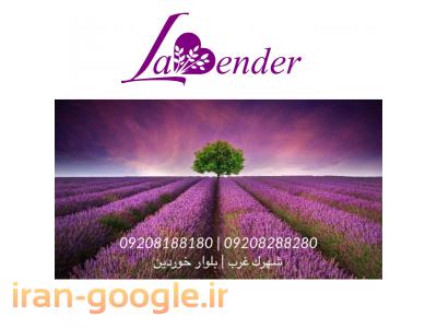 سالن سولاریوم لوندر