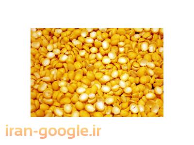 تهیه و توزیع حبوبات و غلات