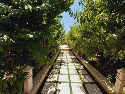 فضای سبز-باغ ویلا 1000 متری در موقعیت عالی در شهریار