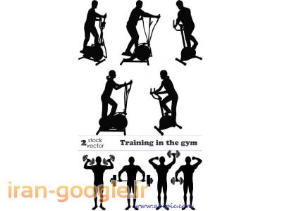 آکادمی ورزشهای همگانی ویژه بانوان 