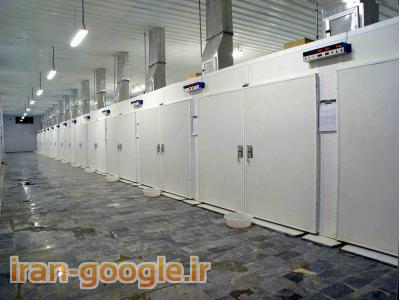 شرکت رایمند  طراح و سازنده ماشینهای ابزار مخصوص و ارائه دهنده خدمات فنی صنایع مرغداری و جوجه کشی