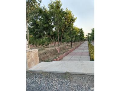 هکتاری-یک هتکار و 110 متر مربع باغ در کرج ( نظر آباد )