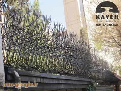 حفاظ شاخ گوزنی - حفاظ بوته ای