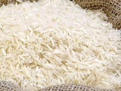 برنج هندی-پخش شکر و برنج هندی