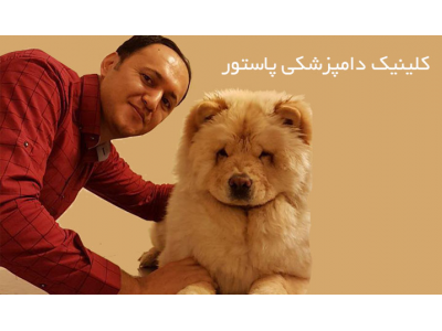کلینیک دامپزشکی در مشهد