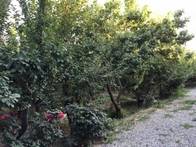 3000 باغ ویلای فاخر و بی نظیر 