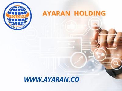 شرکت سرمایه گذاری عیاران