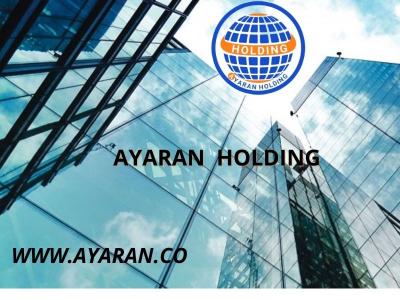 Digital-Ayaran Investment Company