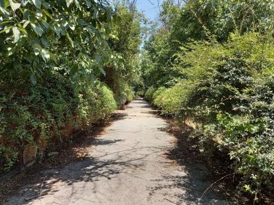 11500 متر باغ ویلا در محمد شهر کرج