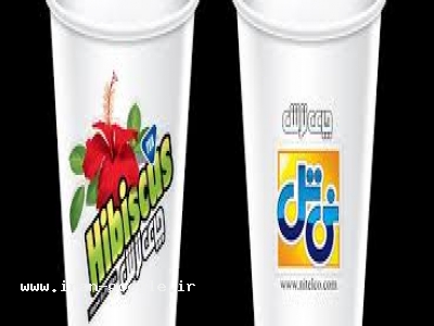 شرکت صنایع غذایی دشت ناز مائده 