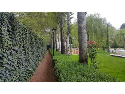 وکس صورت-فروش باغ ویلا 3000 متری در زیبا دشت (کد230)