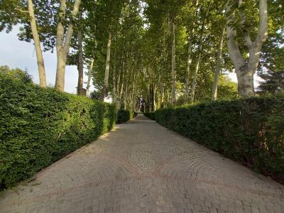 باغ ویلا محمدشهر-2300 متر باغ با جواز ساخت ویلای فاخر در محمدشهر کرج