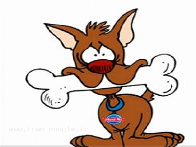 بهترین و کامل ترین لوازم حیوانات خانگی 