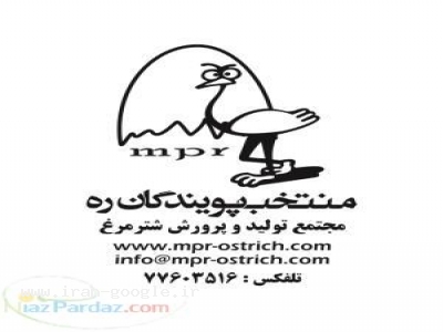 منتخب پویندگان ره، مجتمع تولید و پرورش شتر مرغ، فروش جوجه شتر مرغ