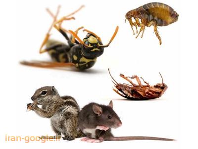 شرکت سم شیراز