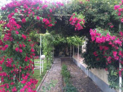  فروش باغ ویلا 2400 متری در خوشنام(کد286)