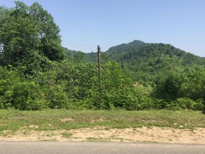 415 زمین در جاده سرسبز قلعه رودخان فومن (قابل ساخت با کاربری مسکونی)