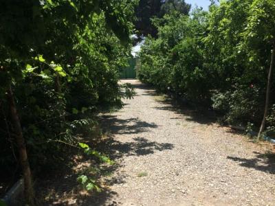 فروش باغ ویلا 2000 متری در قشلاق (کد136)