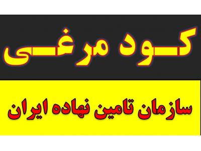 فروش فوری-کود مرغی و پلت مرغی در مشهد