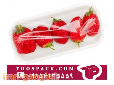 دستگاه بسته بندی میوه