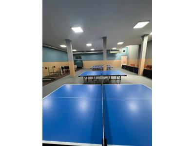 باشگاه پینگ پنگ ایران 