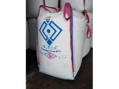 گونی و جامبوبگ شفاعتی