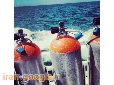 اموزش غواصی با مدرک معتبر از فدراسیون نجات غریق و غواصی کشور