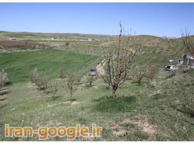 فروش فوری باغ میوه