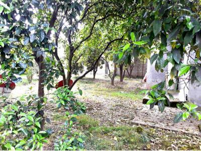 فروش خانه ویلایی در ماسال