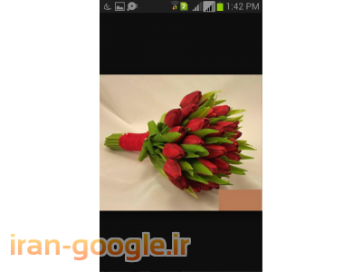 ماشین عروس حرفه ای 