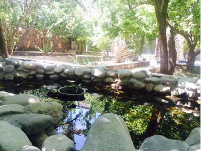 فروش باغ ویلا ۱۲۰۰ متری در شهریار(کد100)