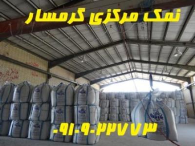 محصولات شرکت نمک پاینده