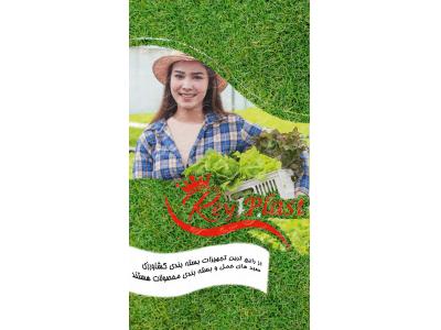  کارخانه سبد پلاستیکی جهت بسته بندی