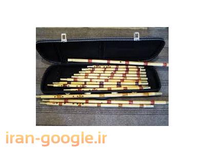 تدریس کلیه سازهای پوستی  ونی