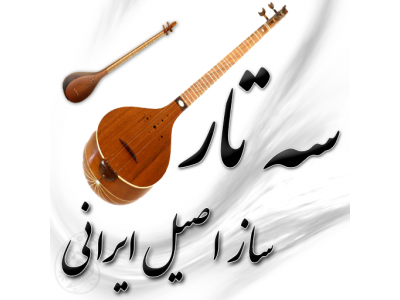 آموزش خصوصی سه تار در تهرانپارس