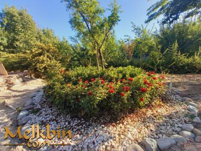 باغ ویلا با نگهبانی ملارد-750 متر باغچه ی نهال کاری شده در ملارد