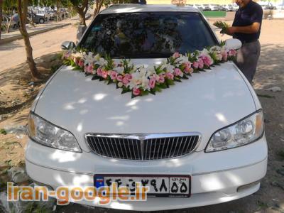بازار گل تهران-ماشین عروس حرفه ای 