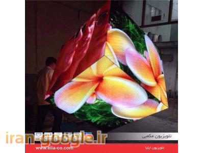 استخدام شرکت ایلیا