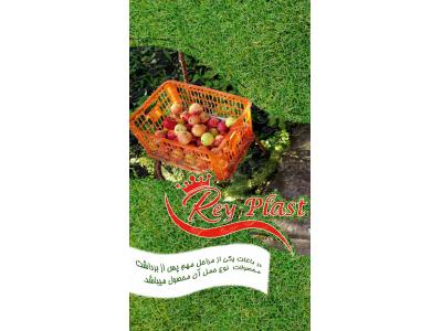 سبد میوه-انواع جعبه و سبد پلاستیکی جهت بسته بندی 