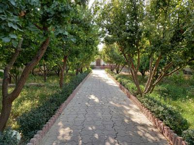 ملک و ویلا-باغ چهاردیواری 552 متری در شهریار