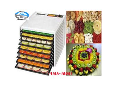 دستگاه چیپس و خشک کن میوه فروشگاه شایان کالا